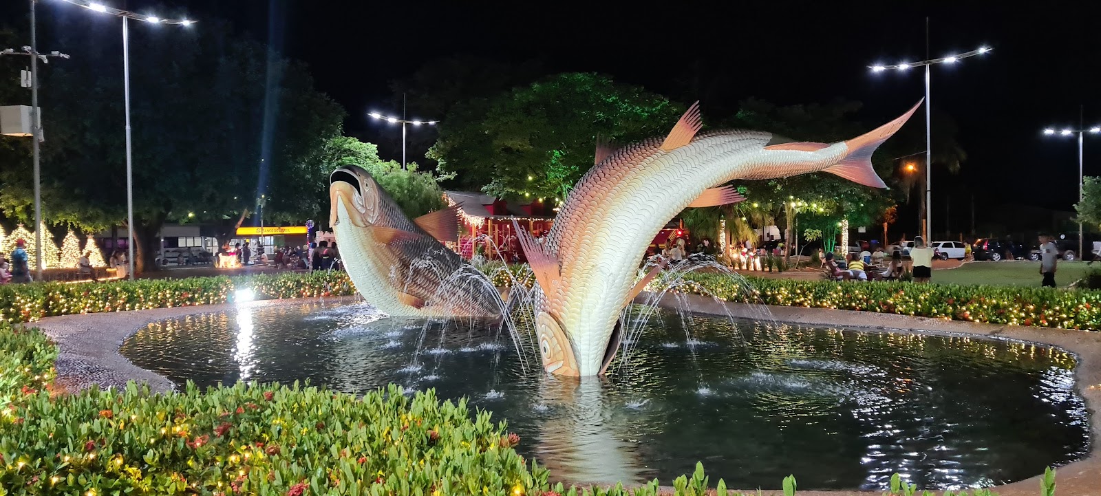 Bonito MS de Ônibus: Guia Completo para sua Excursão!