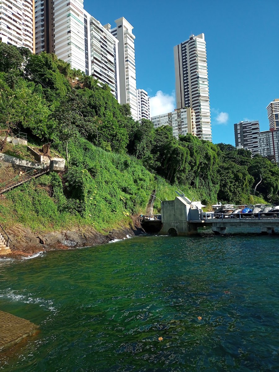 Salvador de Ônibus: Roteiro Completo para Excursões!