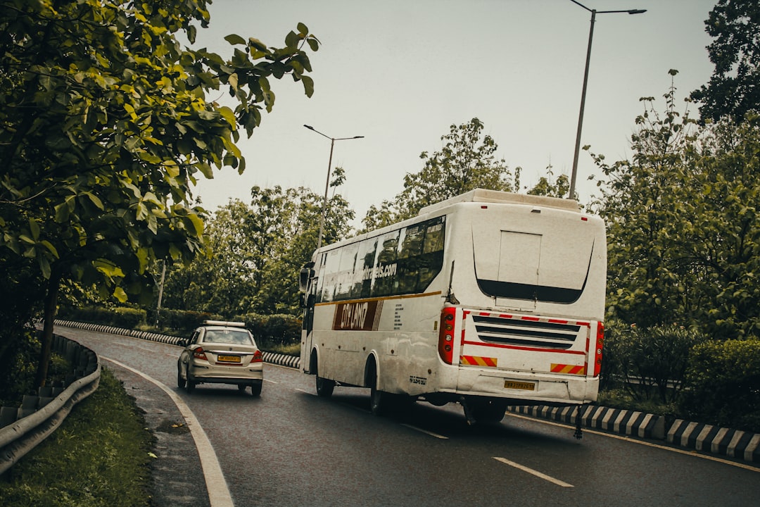 Seguro Viagem: Imprescindível para Excursões Rodoviárias