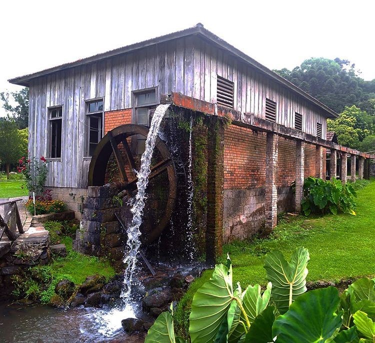 Serra Gaúcha de Ônibus: Roteiro Vinho e Charme Inesquecível!